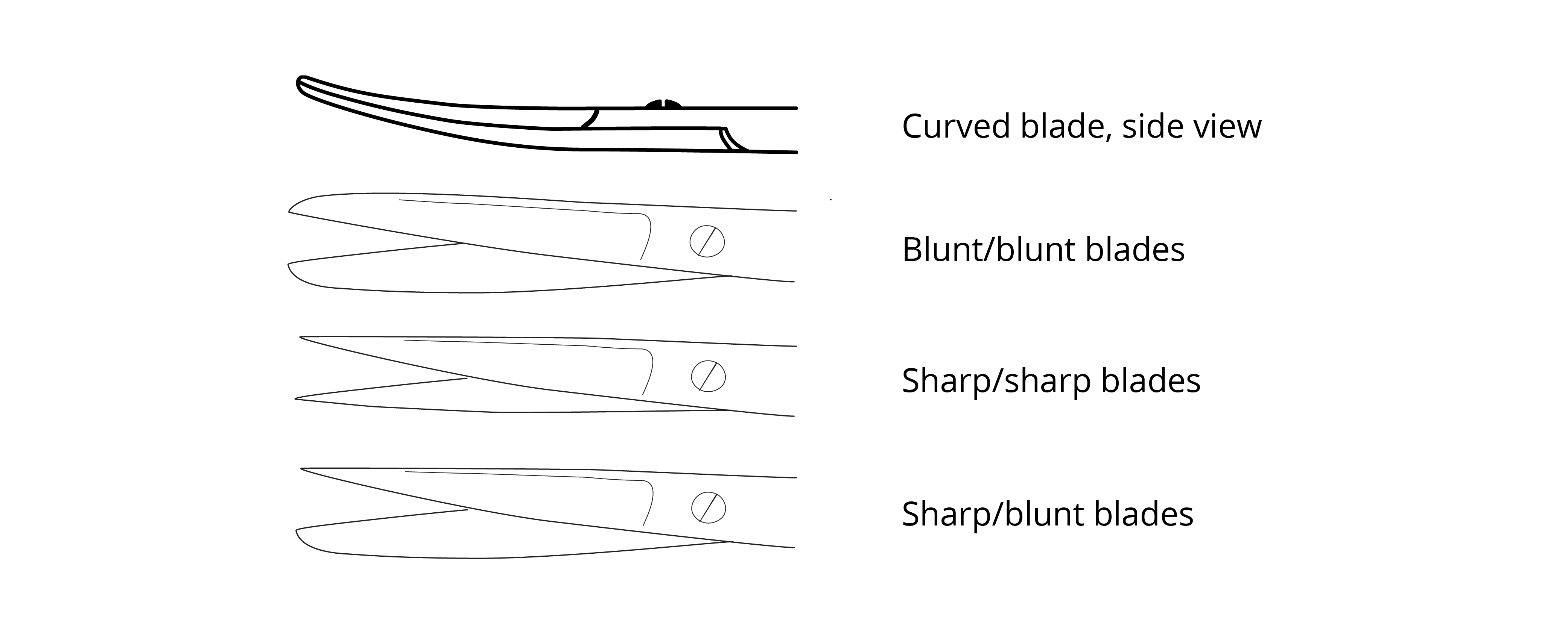 scissor_tips_image.png